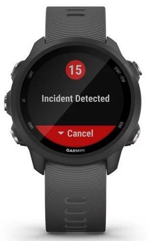 cumpără Ceas inteligent Garmin Forerunner 245 Grey în Chișinău 