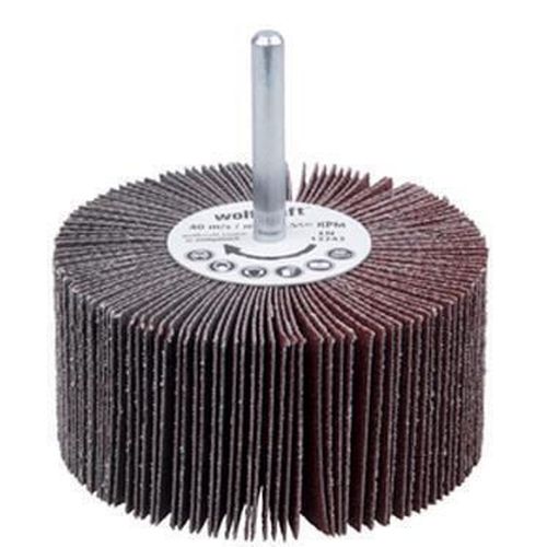 cumpără Disc de șlefuire Wolfcraft 2035000 Cilindru abraziv evantai gr.150 60x40mm în Chișinău 