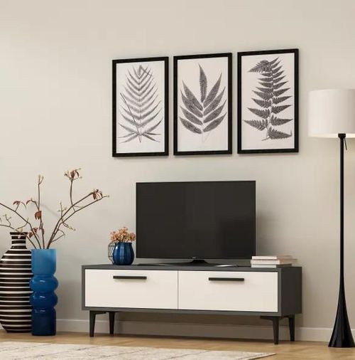 купить Тумба напольная для TV Trendy Leni Antracit, Alb (GTR000361) в Кишинёве 