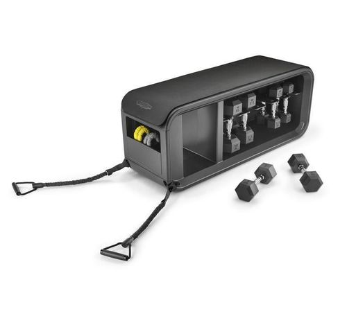 купить Скамья для силовых упражнений Technogym 4776 Banca multif. Bench 38*113*44 cm в Кишинёве 