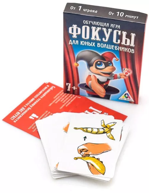 cumpără Joc educativ de masă miscellaneous 11553 Trucuri pentru vrгjitorii tineri 4027332 în Chișinău 