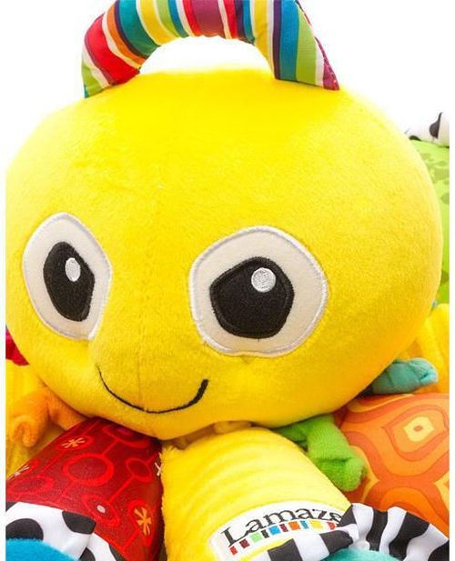 купить Мягкая игрушка Tomy T27027 Jucăria educativă Caracatița Muzicală в Кишинёве 
