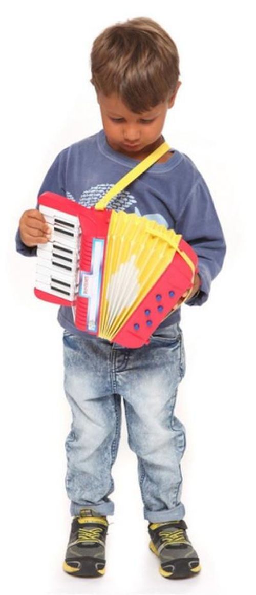 купить Музыкальная игрушка Bontempi 45240 Acordeon (17 taste) в Кишинёве 