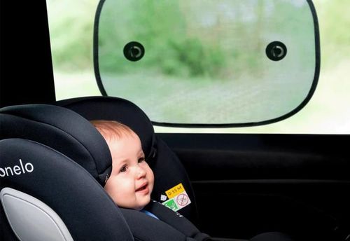 cumpără Parasolar auto Lionelo Sunshade Black în Chișinău 