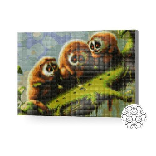 купить Картина по номерам Art Gallery XQB75337 Mozaic cu diamante 30x40cm Lemuri draguti в Кишинёве 