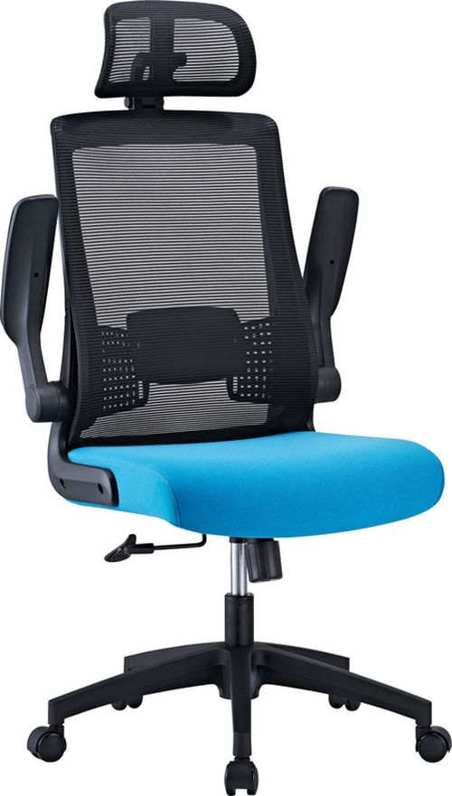 cumpără Fotoliu de birou CUSTÓ Santander, negru - albastru în Chișinău 