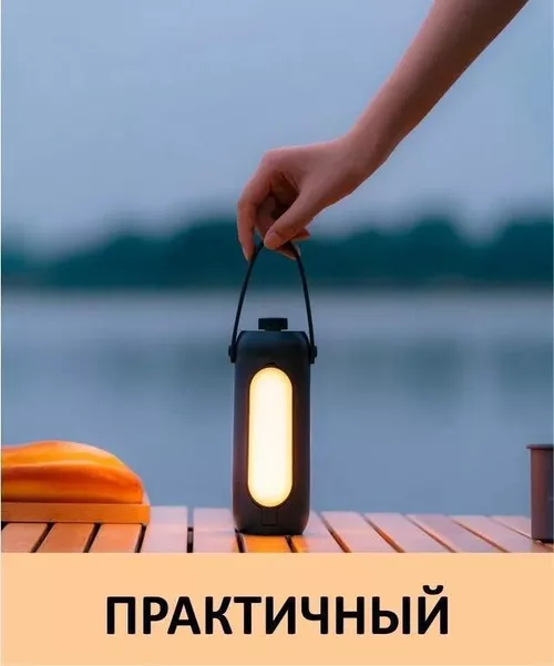 cumpără Lanternă Xiaomi DQ311 Black în Chișinău 