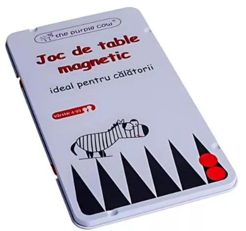 cumpără Joc educativ de masă Momki MK025 Joc Magnetic Table în Chișinău 