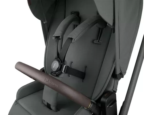 cumpără Сărucior pentru copii Kikka Boo 31001020172 Carucior 2in1 Goya Platinum Olive în Chișinău 
