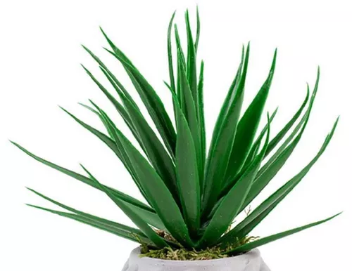 cumpără Decor Cilgin Planta artificiala K200A Aloe Vera 17cm în Chișinău 