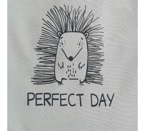 купить Детская одежда Minikin 242290374 Hedgehog Лонгслив серый 6-9мес в Кишинёве 