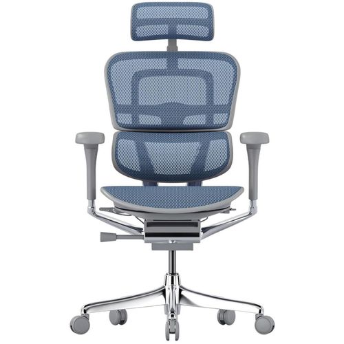 купить Офисное кресло ART Ergohuman Elite 2 Cobalt T-168-B4 EHE2-AG-HAM-5D-L в Кишинёве 