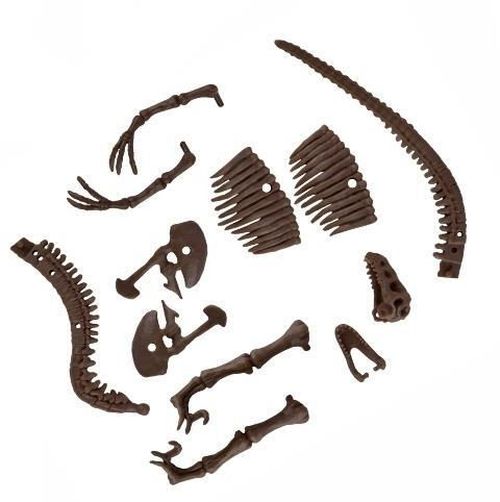 купить Набор для творчества 4M 00-13234 Velociraptor Skeleton в Кишинёве 