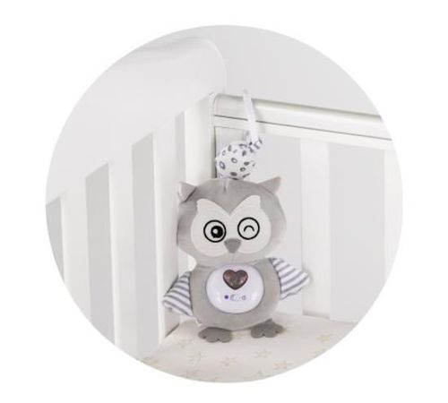 cumpără Jucărie cu pandantiv Chipolino Owl PIKL02502OWL плюш муз în Chișinău 