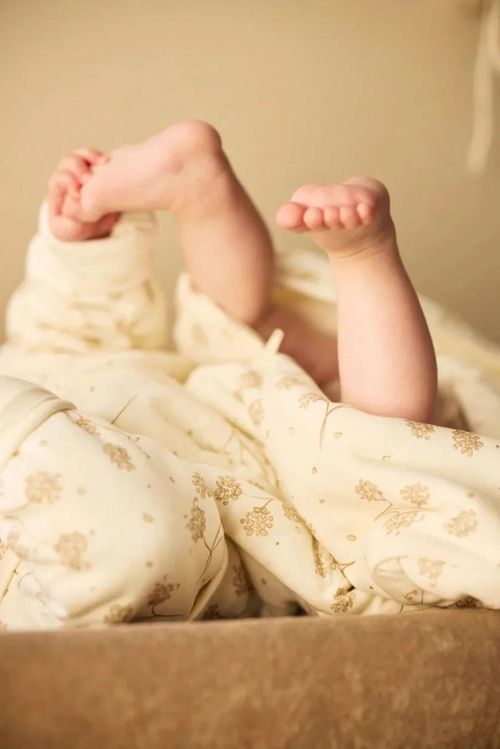 cumpără Haine pentru copii Jollein 016-410-68105 Sac de dormit cu maneci detasabile Round Leafy Dreams, 60cm în Chișinău 