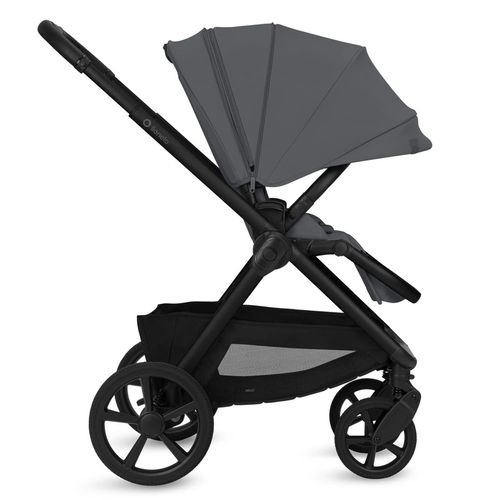 купить Детская коляска Lionelo Carucior 2in1 Carmine Grey Stone в Кишинёве 