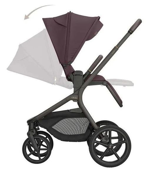 cumpără Сărucior pentru copii Kikka Boo 31001020173 Carucior 2in1 Goya Platinum Merlot în Chișinău 