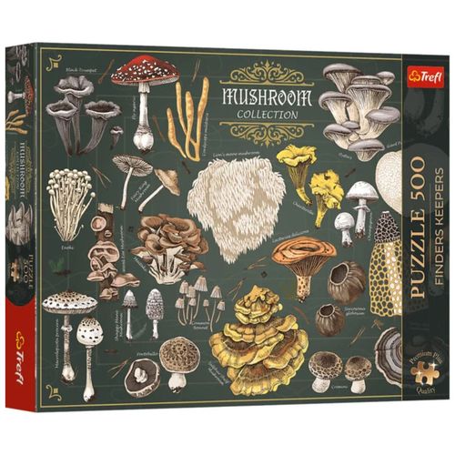 купить Головоломка Trefl 37608 Puzzles 500 Premium Plus Finders Keepers: Spices в Кишинёве 