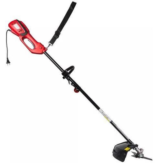 купить Триммер для газона Raider RD-EBC11 в Кишинёве 