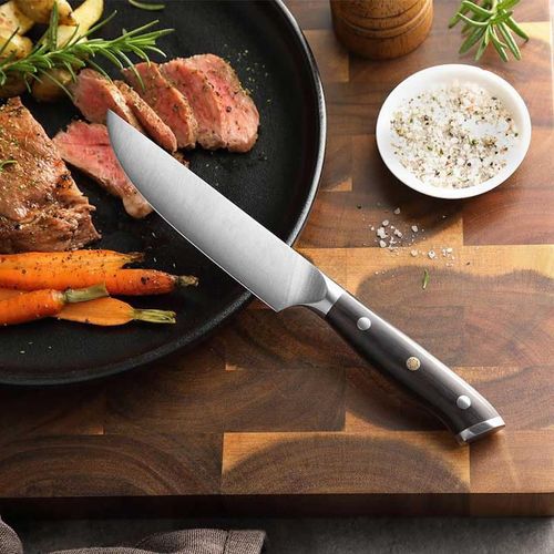 купить Нож Takumi Seikō Steak Knife (TK-B13S-NP) в Кишинёве 