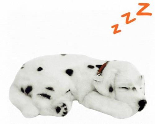 купить Игрушка Perfect Petzzz 91-17 Jucărie interactivă Dalmațian в Кишинёве 