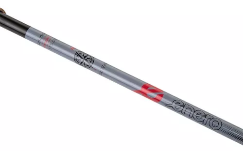 купить Треккинговые палки Enero Nordic Walking Poles в Кишинёве 