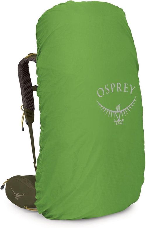 купить Туристический рюкзак Osprey Kestrel 68 Moss Green (810165746893) в Кишинёве 