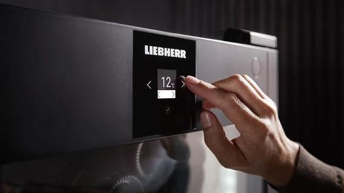 купить Холодильник винный Liebherr WPbl 4601 в Кишинёве 