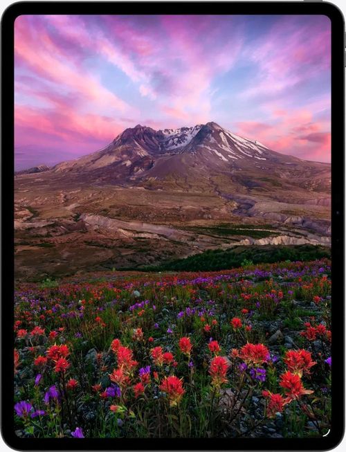 cumpără Tabletă PC Apple iPad Pro 13 2025 Wi-Fi M5 256GB Black MDYJ4 în Chișinău 