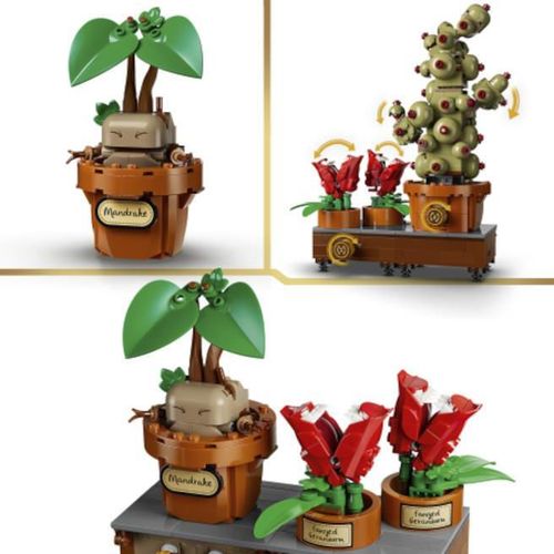 купить Конструктор Lego 76474 Harry Potter. Plante de herbologie de la Hogwarts в Кишинёве 