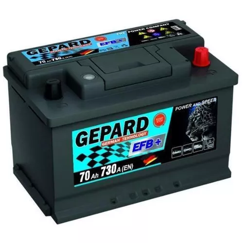 купить Автомобильный аккумулятор Gepard 70 AH EFB START STOP 700A (277x175x191) в Кишинёве 
