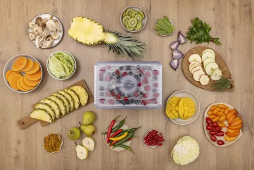 купить Сушка для фруктов Gorenje FDK400DE в Кишинёве 