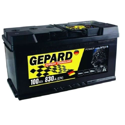 cumpără Acumulator auto Gepard 100 AH Japan 830A (304x173x224) în Chișinău 