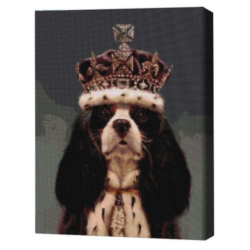 cumpără Tablou pe numere BrushMe DBS1226FC 40x50 сm (fără cutie) – Regele Charles, Lucia Heffernan în Chișinău 