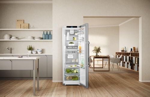 купить Холодильник однодверный Liebherr Rsdd 5250 в Кишинёве 