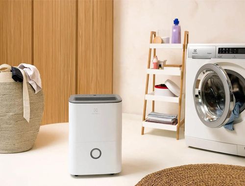 купить Осушитель воздуха Electrolux EXD20DN4W в Кишинёве 