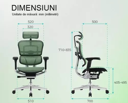 купить Офисное кресло ART Ergohuman Luxury 2 Natural T-168-B2 EHL2-AG-HAM-5D-D в Кишинёве 