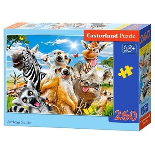 купить Головоломка Castorland Puzzle B-27552 Puzzle 260 elemente в Кишинёве 