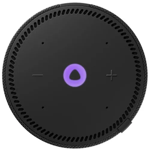 cumpără Boxă portativă Bluetooth Yandex YNDX-00020K Alisa Station Mini Black în Chișinău 