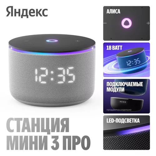 купить Колонка портативная Bluetooth Yandex YNDX-00059GRY Alisa Station Mini 3 Pro Grey в Кишинёве 
