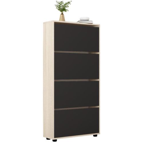 купить Полка для обуви Mobildor-Lux Leo Slim 50x16x164H cm Sonoma/Anthracite в Кишинёве 