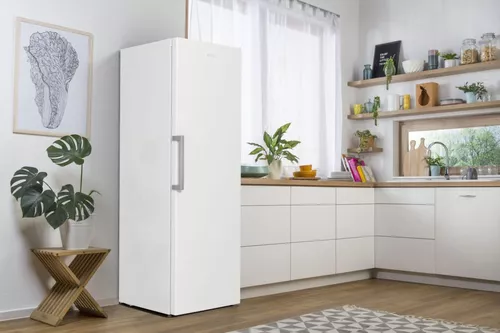 купить Морозильник Gorenje FN619FEW5 в Кишинёве 