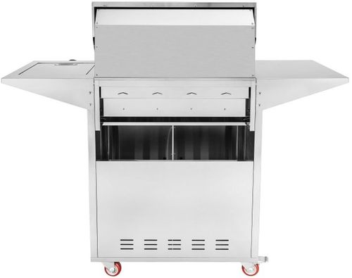 купить Мангал ArtFlame ERC401R pe gaz din otel inoxidabil в Кишинёве 