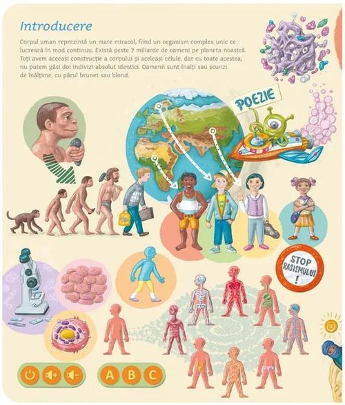 cumpără Puzzle Raspundel Istetel 69367 carte Corpul Uman în Chișinău 
