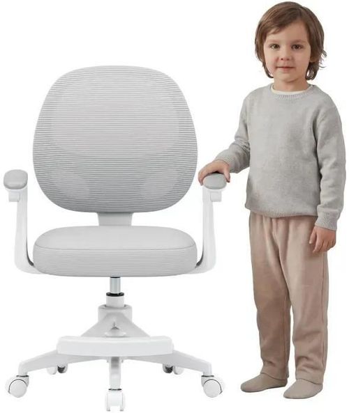 cumpără Fotoliu de birou Mark Adler Junior 3.1 Grey în Chișinău 