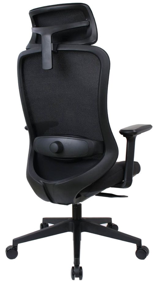 cumpără Fotoliu de birou Deco Palmer Black în Chișinău 