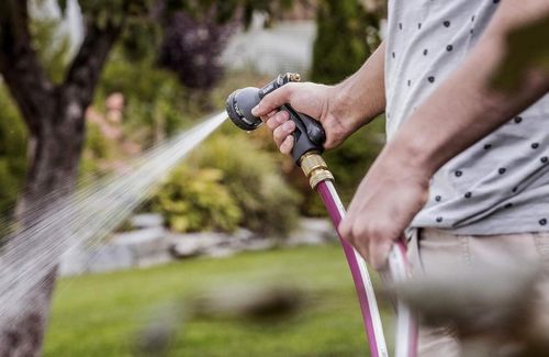 cumpără Pistol pentru stropit Rehau Pistol stropitor DELUXE (238007) în Chișinău 