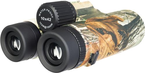 купить Бинокль Levenhuk Camo Maple 10x42 Binoculars with Reticle в Кишинёве 