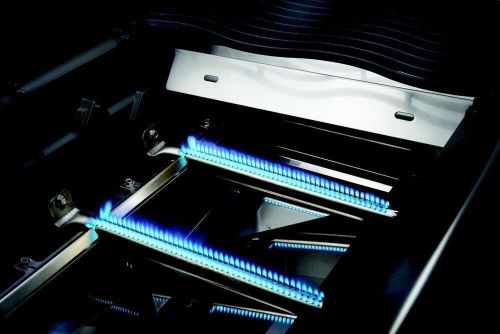купить Мангал Napoleon Rogue SE425, arzator cu infrarosu lateral si spate, inox (RSE425RSIBPSS) в Кишинёве 