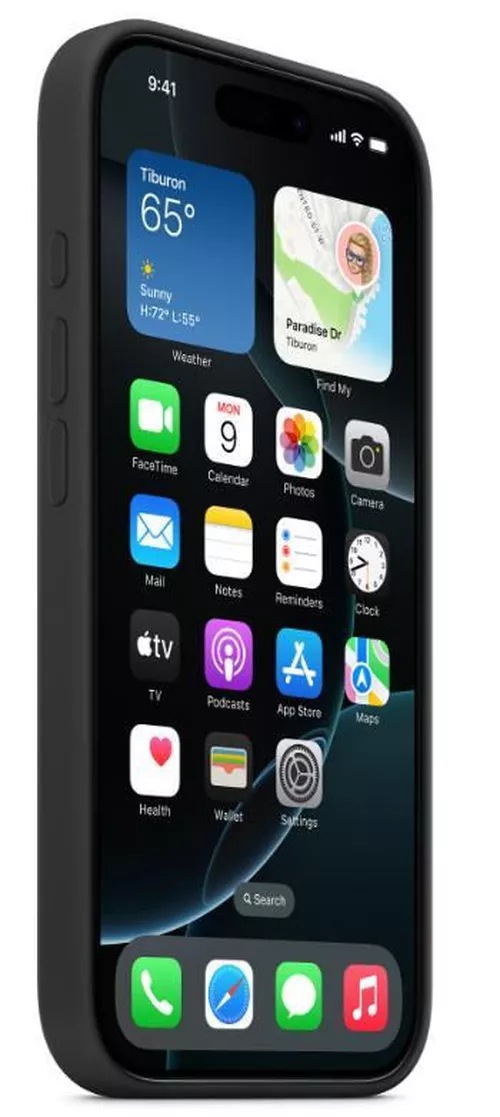 cumpără Husă pentru smartphone Apple iPhone 16 Pro Silicone Case with MagSafe Black MYYJ3 în Chișinău 